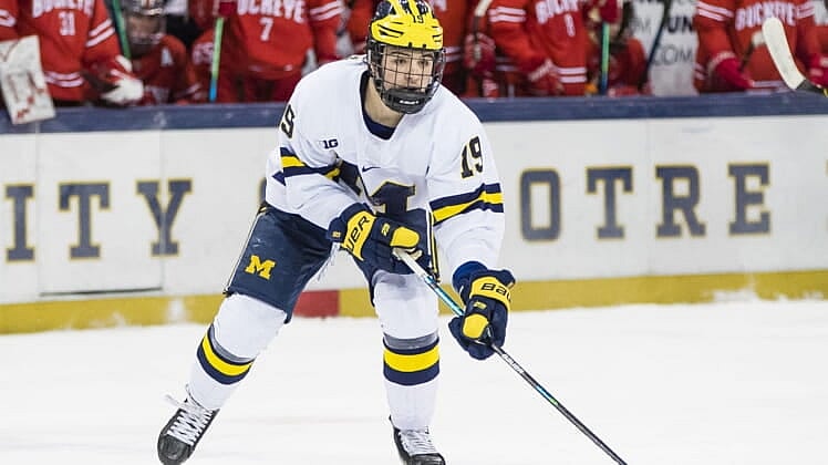 vegas golden knights prospects brendan brisson