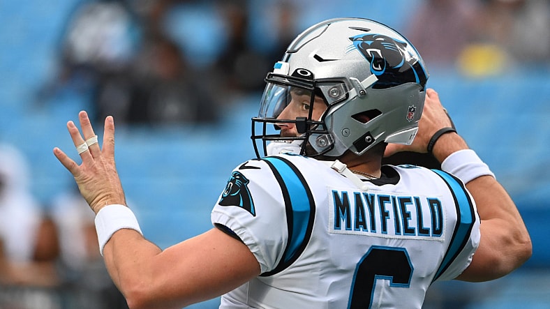 NFL: Arizona Cardinals at Carolina Panthers