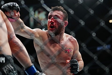 ufc pound for pound rankings