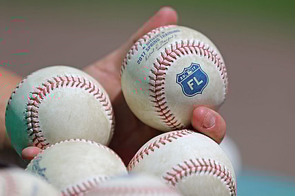 Mar 17, 2017; Fort Myers, FL, USA; A view of the Grapefruit League logo on official Rawlings baseball at JetBlue Park. The Astros won 6-2. Mandatory Credit: Aaron Doster-USA TODAY Sports, Khalil Lee