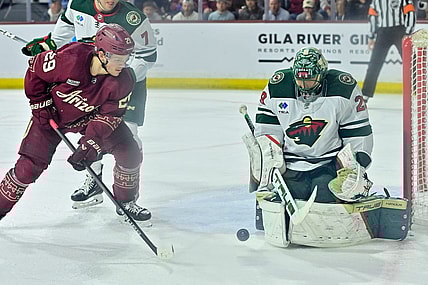 Mar 7, 2024; Tempe, Arizona, USA; Minnesota Wild goaltender Marc-Andre Fleury (29) makes a save on Arizona Coyotes center Barrett Hayton (29) in the second period at Mullett Arena. Mandatory Credit: Matt Kartozian-USA TODAY Sports
