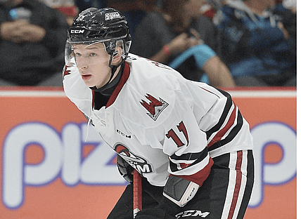 Vegas Golden Knights, Daniil Chayka