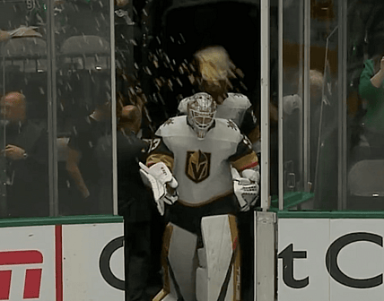 Adin Hill, Dallas Fans throw popcorn