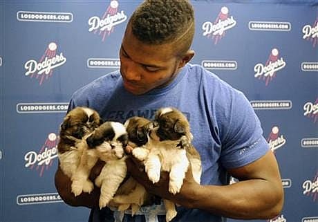 courtesy of bigstory.ap.org