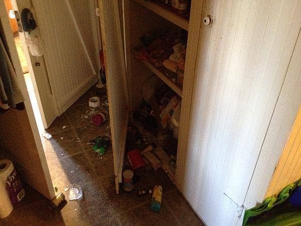 10521329_10202428357416247_5360349266063668684_n