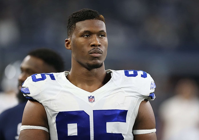 David Irving