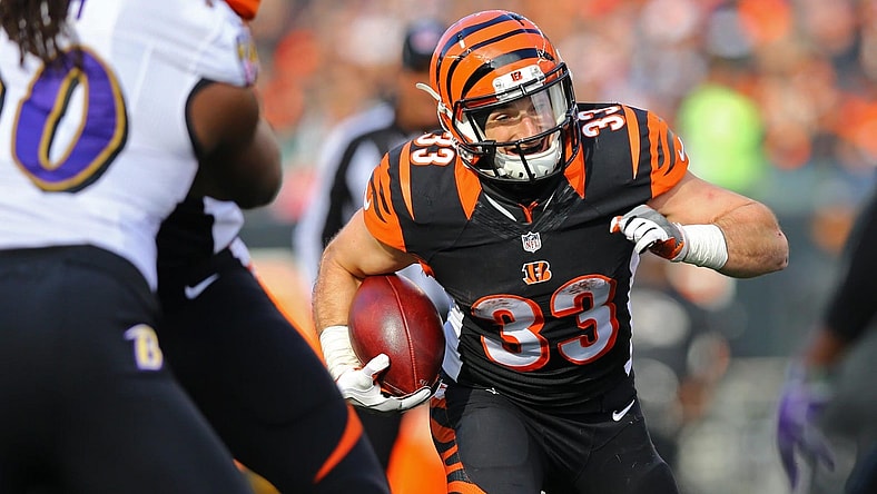 Rex Burkhead