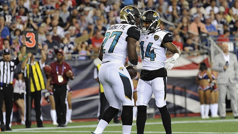 Leonard Fournette scored a TD in his NFL debut.