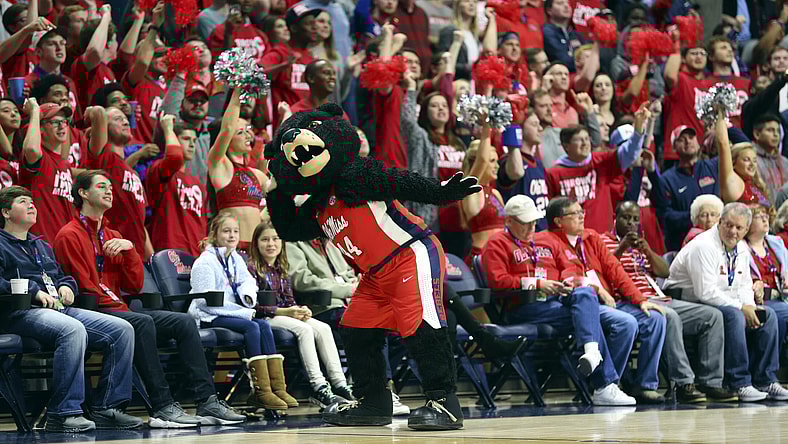 Ole Miss Rebels mascot Rebel the Bear