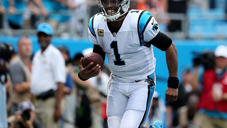 Cam Newton, NFL