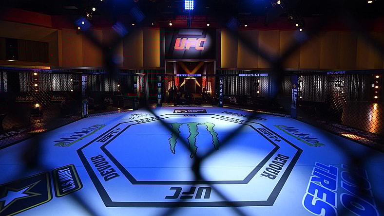 General view UFC 250