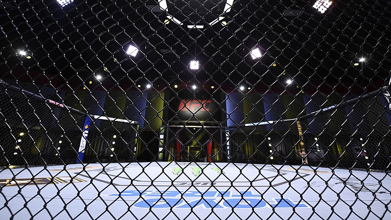 UFC Fight Night Las Vegas