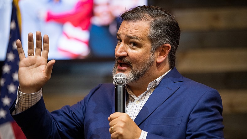 Senator Ted Cruz speaks at rally in Texas