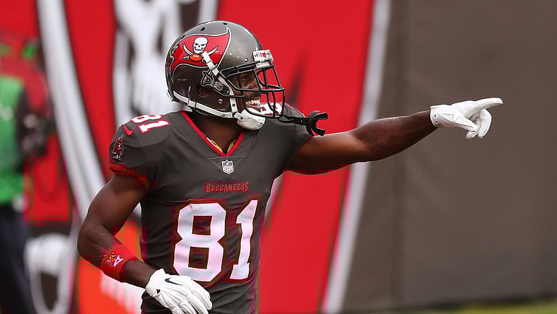 Jan 3, 2021; Tampa, Florida, USA; Tampa Bay Buccaneers wide receiver Antonio Brown (81) celebrates after scoring a touchdown against the Atlanta Falcons during the second quarter at Raymond James Stadium. Mandatory Credit: Kim Klement-USA TODAY Sports