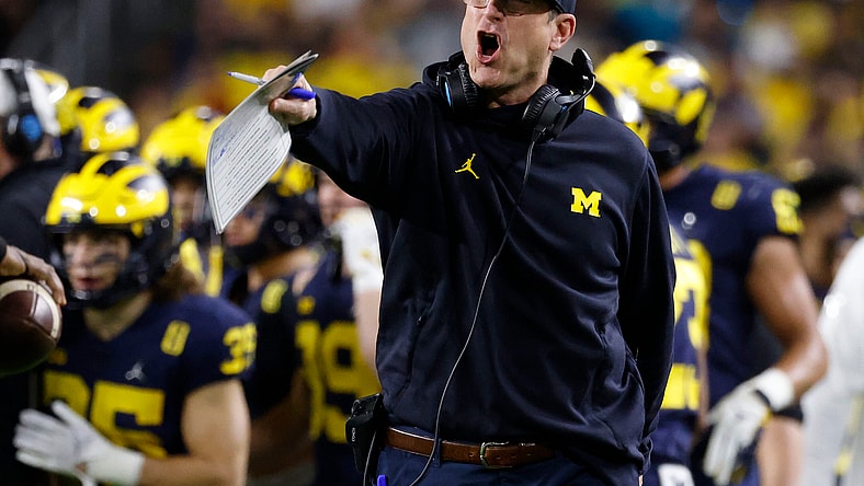 Jim Harbaugh, Minnesota Vikings