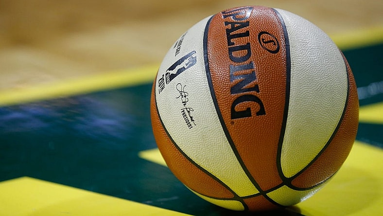 Sep 7, 2018; Seattle, WA, USA; The WNBA logo on a ball during the fourth quarter of game one of the WNBA finals between the Seattle Storm and the Washington Mystics at KeyArena. Mandatory Credit: Jennifer Buchanan-USA TODAY Sports