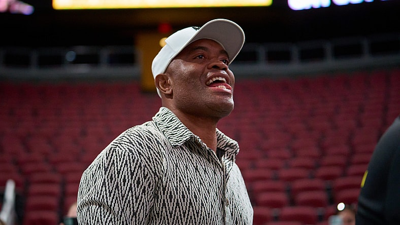 anderson silva next fight