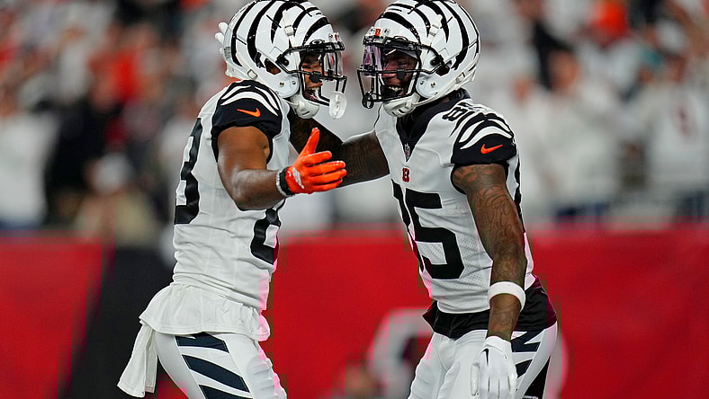 NFL: Miami Dolphins at Cincinnati Bengals