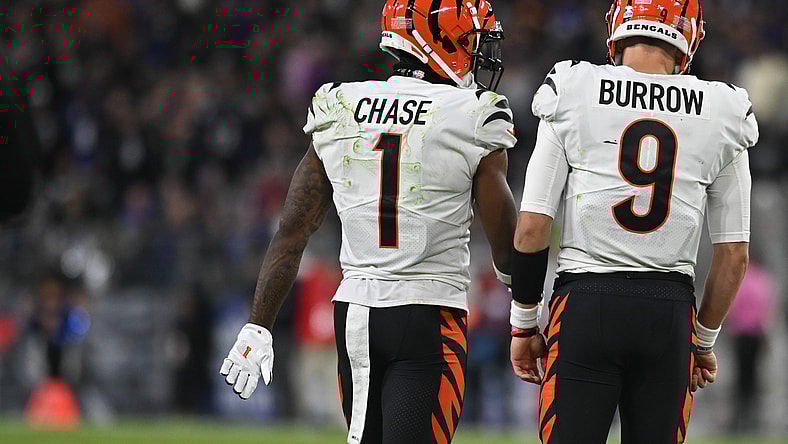 NFL: Cincinnati Bengals at Baltimore Ravens
