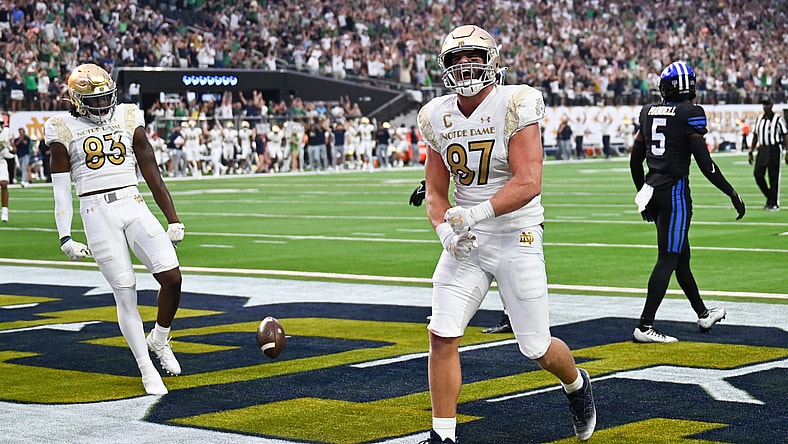 Notre-Dame-Michael-Mayer