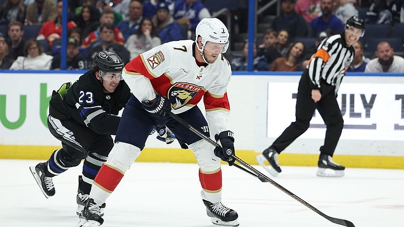 Feb 17, 2024; Tampa, Florida, USA;  Florida Panthers defenseman Dmitry Kulikov (7) controls the puck from Tampa Bay Lightning center Michael Eyssimont (23) in the second period at Amalie Arena. Mandatory Credit: Nathan Ray Seebeck-USA TODAY Sports