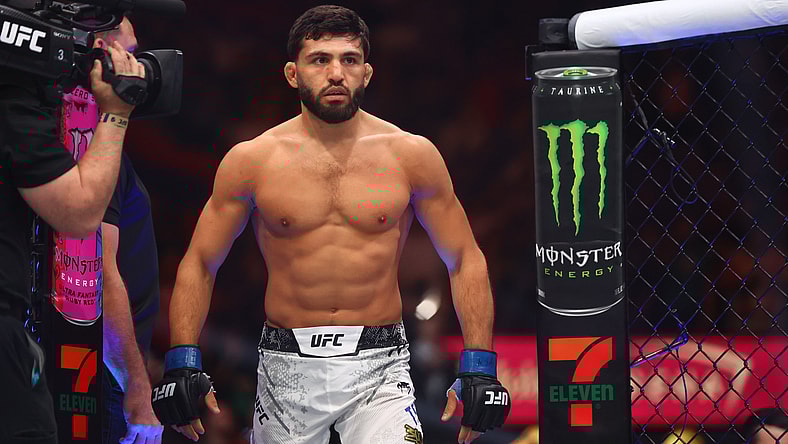 MMA: UFC 300 - Oliveira vs Tsarukyan