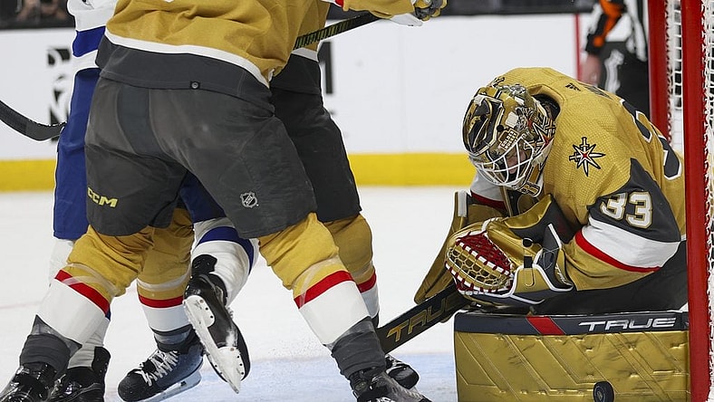 Vegas Golden Knights Game, Adin Hill