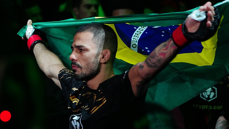 ufc flyweight rankings