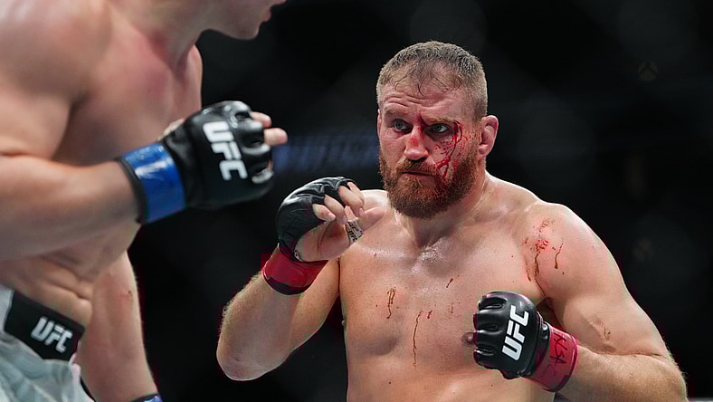 ufc light heavyweight rankings