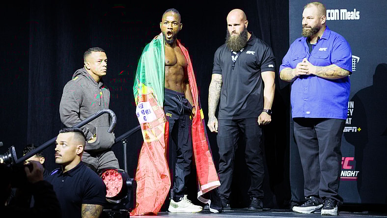 ufc flyweight rankings