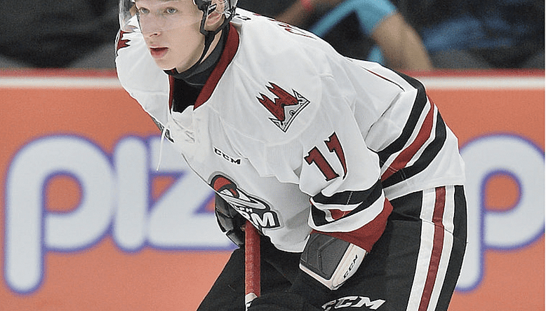 Vegas Golden Knights, Daniil Chayka