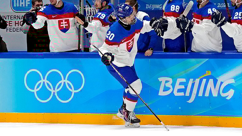Olympics: Ice Hockey-Men Quarterfinal - USA-SVK, montreal canadiens