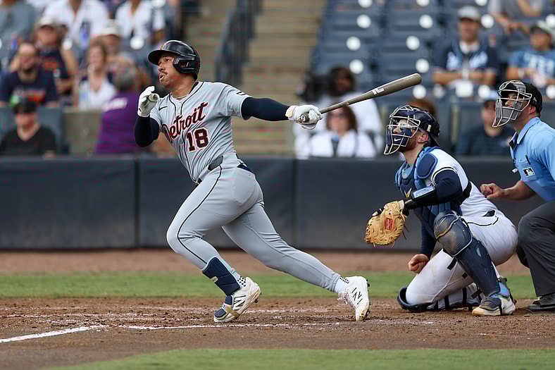 MLB: Detroit Tigers at Tampa Bay Rays