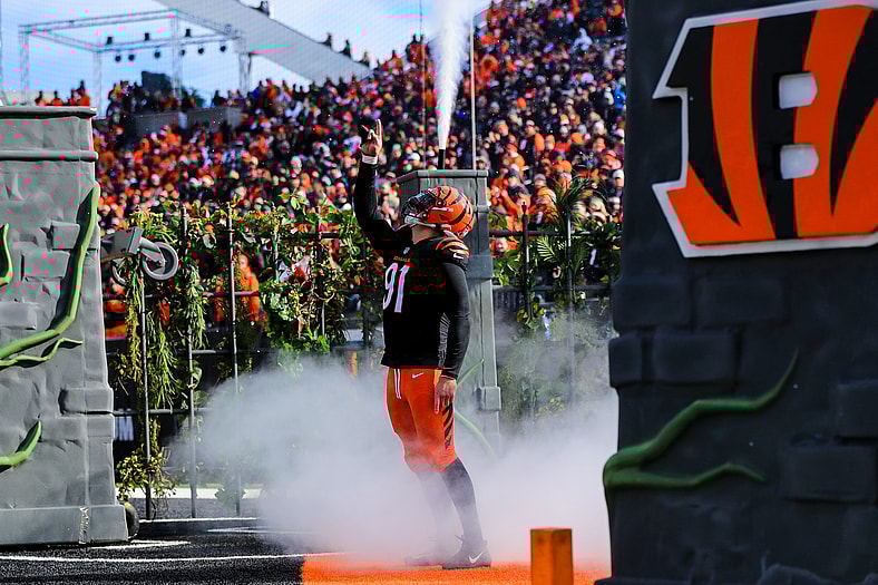 NFL: Cleveland Browns at Cincinnati Bengals