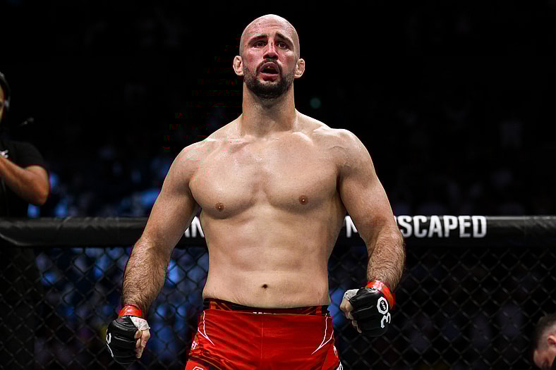 ufc light heavyweight rankings