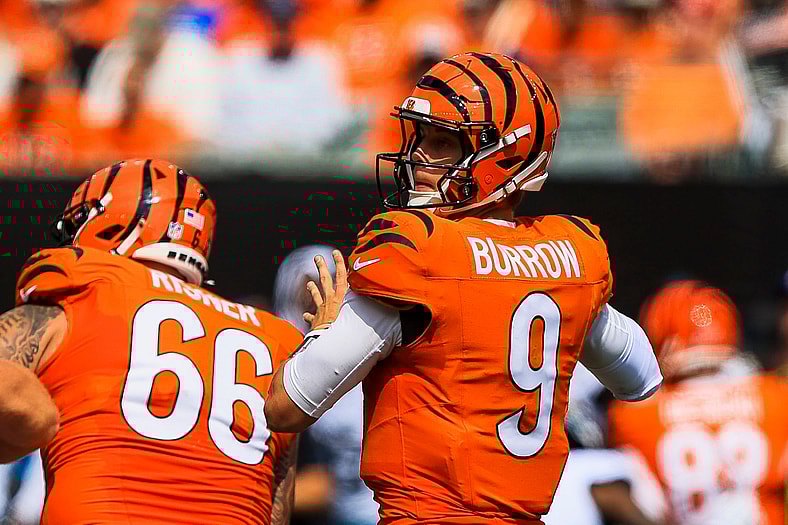 NFL: Jacksonville Jaguars at Cincinnati Bengals