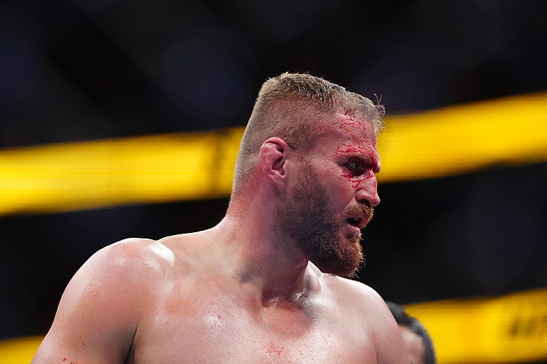 ufc light heavyweight rankings