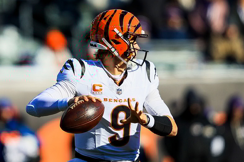 NFL: Baltimore Ravens at Cincinnati Bengals