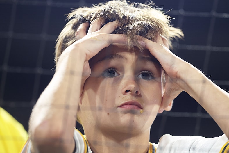 Pittsburgh Pirates fan