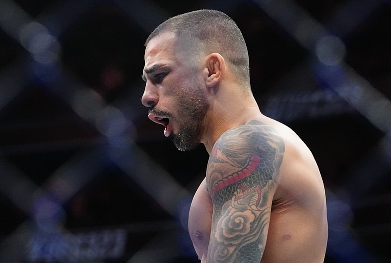 ufc flyweight rankings