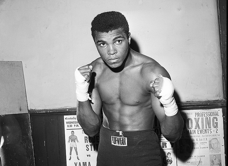 best boxers of all time