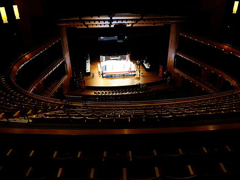 Edwin Valero Imagn Images