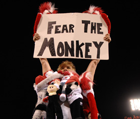 Rally Monkey on the DL with depression - Photo: losangeles.angels.mlb.com