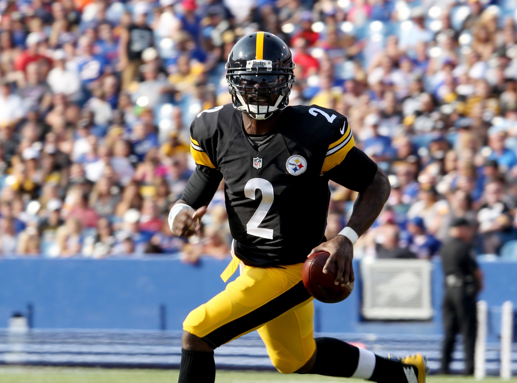 Dog-Loving Steelers Fans Furious As Michael Vick Signed to Team - The  Dogington Post
