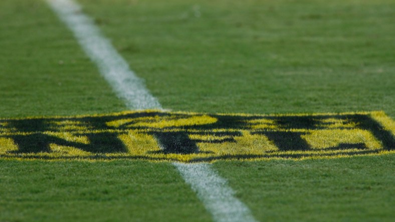 Aug 14, 2015; Jacksonville, FL, USA; A gold-painted NFL logo on the field before the start of a preseason NFL football game between the Pittsburgh Steelers and the Jacksonville Jaguars at EverBank Field. The logo is part of the NFL's "On the Fifty" campaign, to promote Super Bowl 50 next February. The Jacksonville Jaguars won 23-21. Mandatory Credit: Phil Sears-USA TODAY Sports