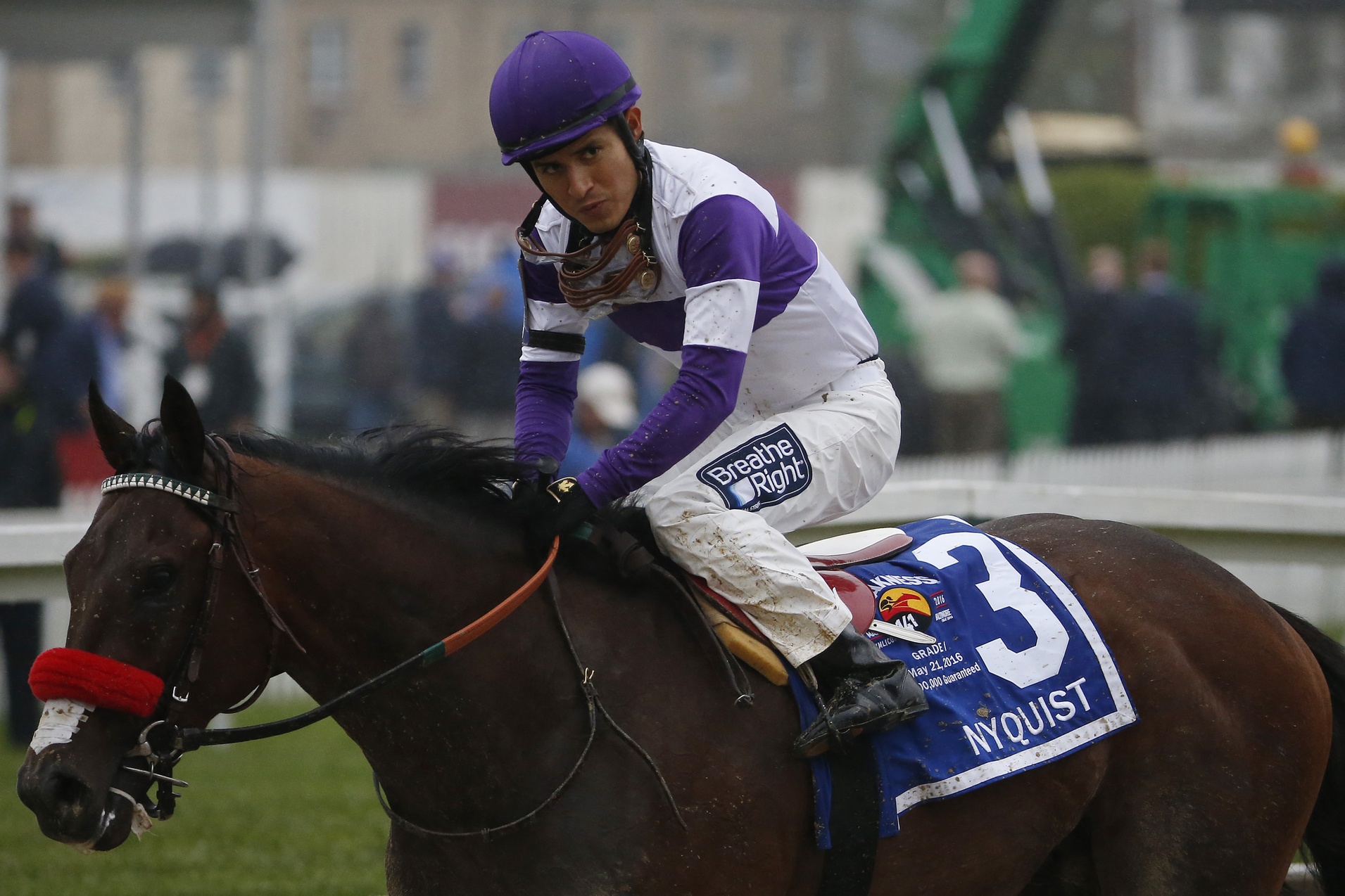 Report: Nyquist out of Belmont Stakes due to health complications