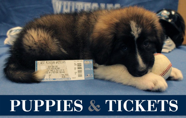 You can have your Opening Day tickets delivered to you by puppies. Really.
