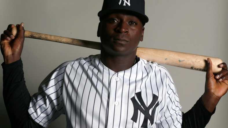 Didi Gregorius