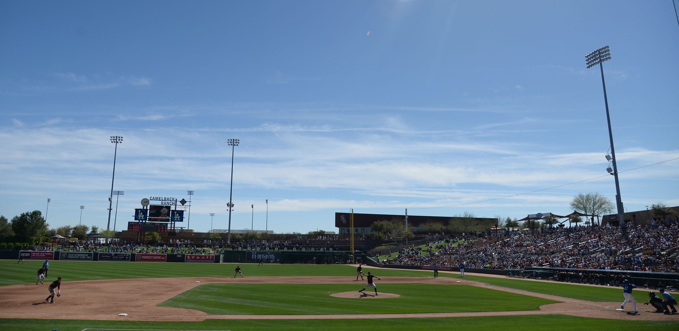 MLB spring training through the eyes of the WAGs
