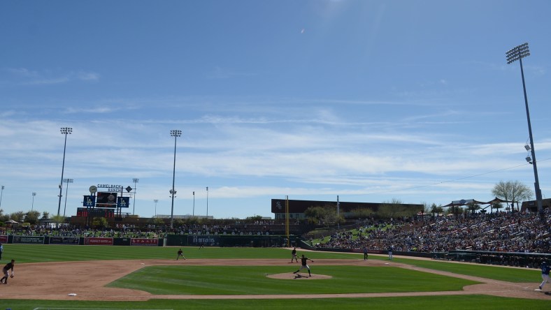 spring training